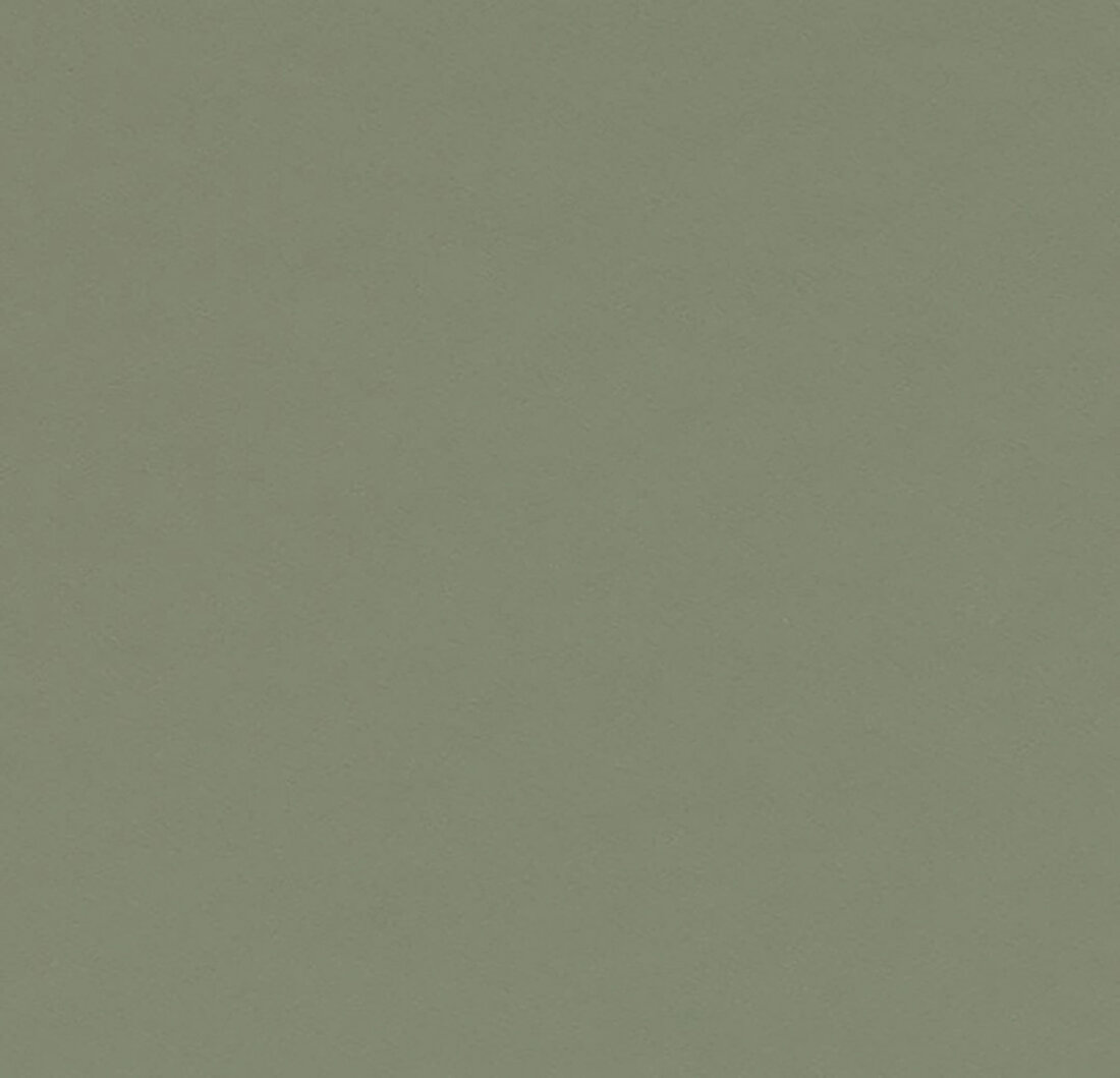 Farbton Olive