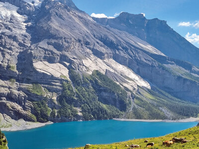 Friedrich Putz Friedrich Putz