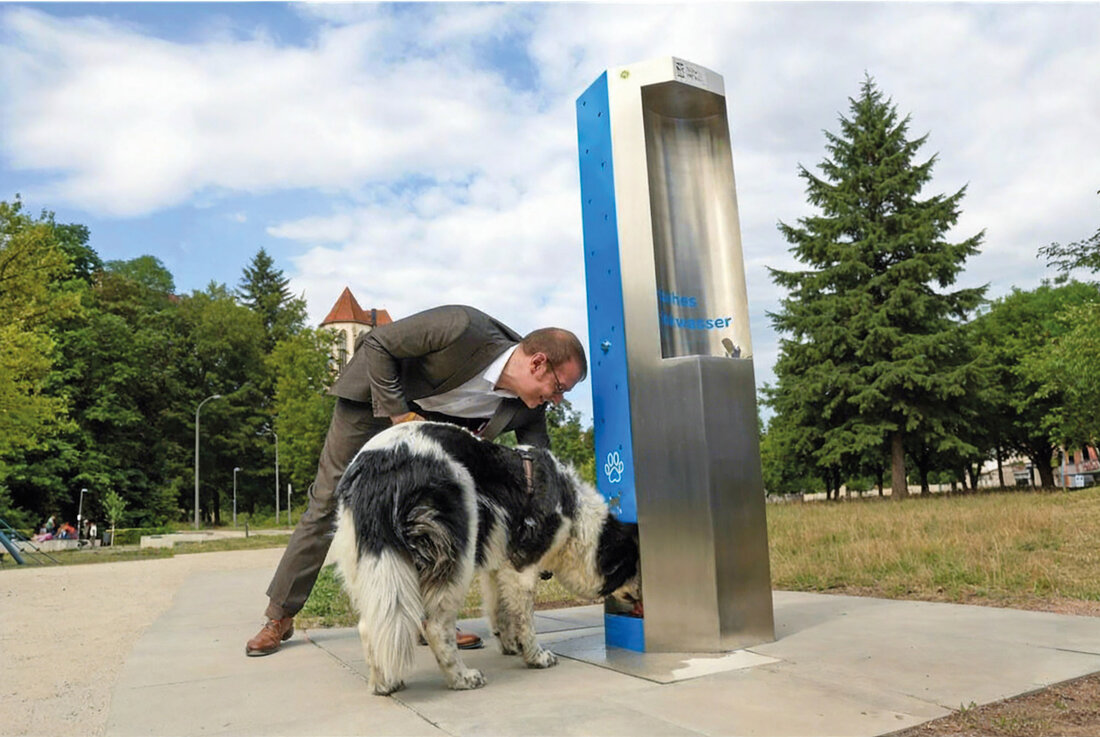 Hund trinkt an einem Trinkbrunnen