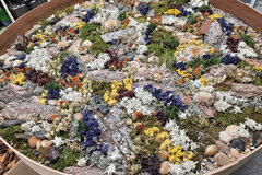 Tisch mit Blumenwiese