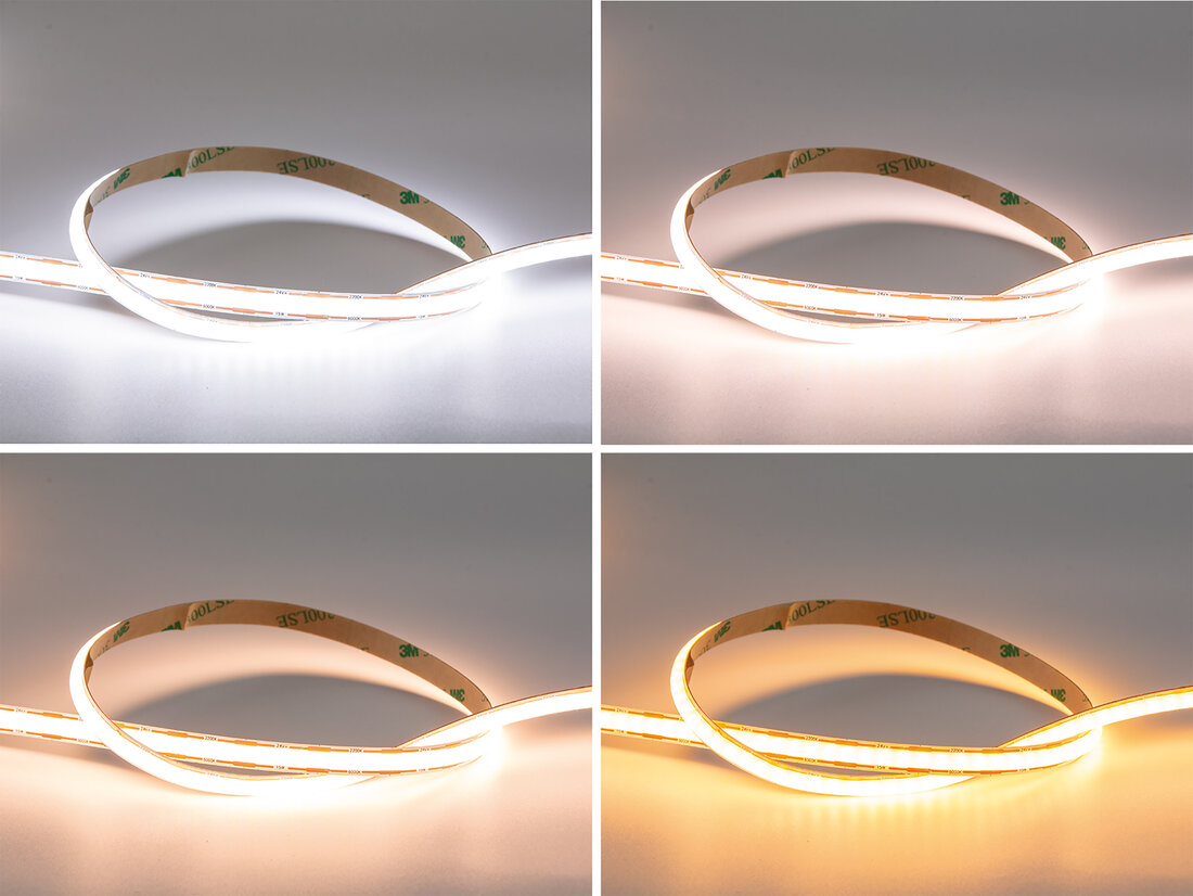 LED Band in vier verschiedenen Farben