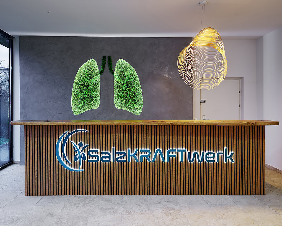 Salzkraftwerk