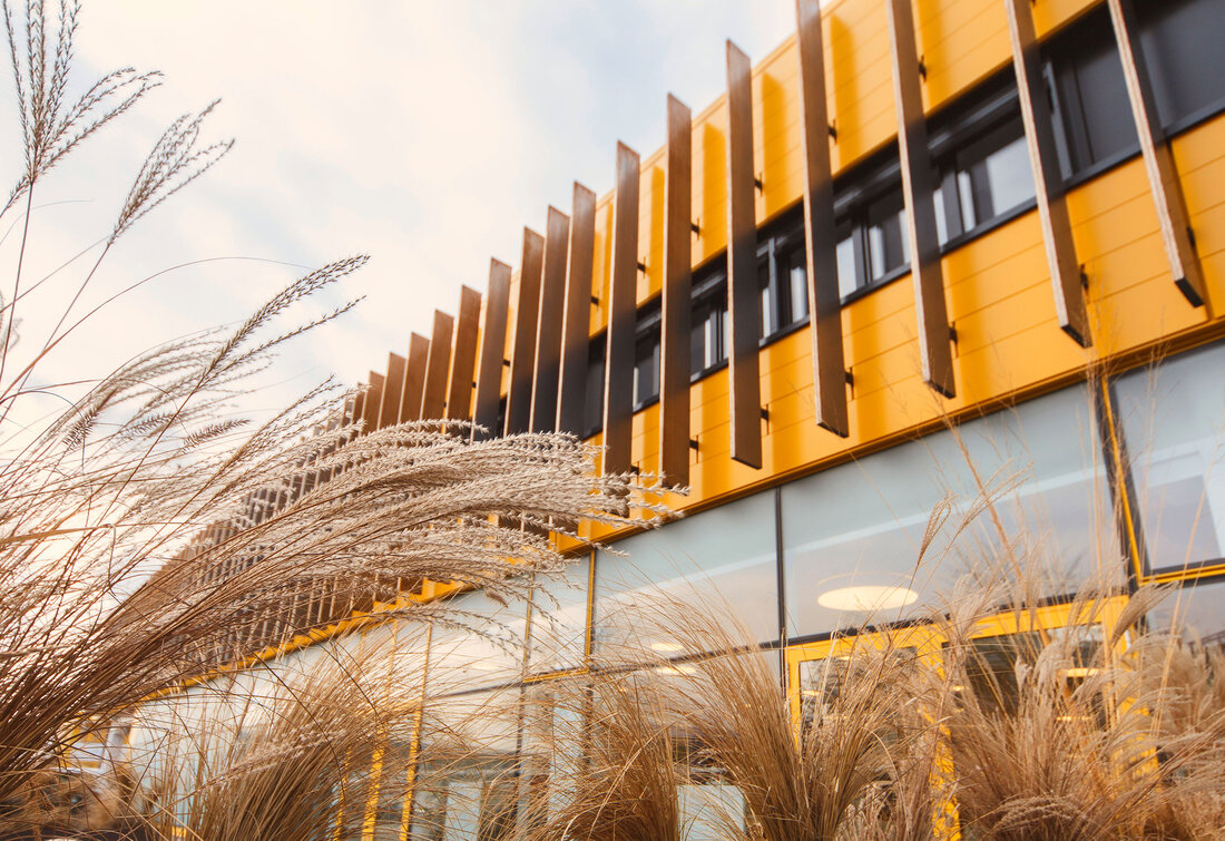 Fassade Schachermayer Linz 