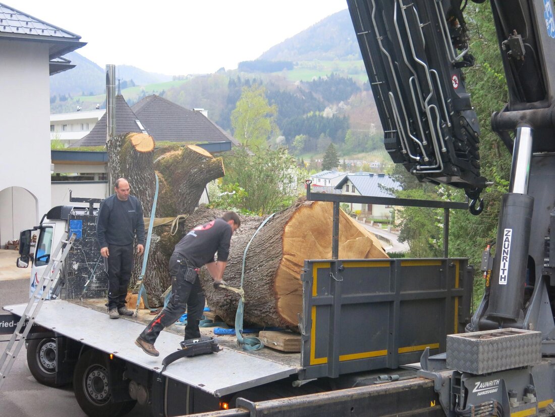 Baumstamm auf LKW