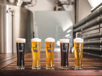 Kartause Gaming Bier Bier